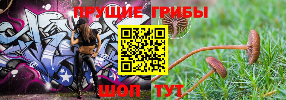 Лесозаводск  Канабис  Вход с VPN  Кокаин  ГАШ  МЕФ  