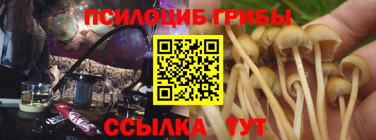 Лесозаводск  Псилоцибиновые грибы ЛСД  Вход с VPN 